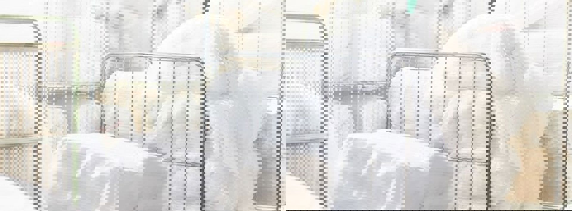 Commercial Laundry White Clean Pillows Min 2